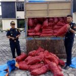 KPPBC Dumai Berhasil Tangkap Mobil Bawang Ilegal Berusaha Kabur