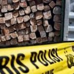 Tiga Truk Mengangkut ‘illegal logging’ Diamankan Polres Pelalawan