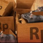 Korupsi Bansos, Polisi Serahkan Ketua DPRD Bengkalis ke Kejati Riau