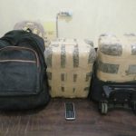 Polres Rohil Tangkap Pemilik Dua Bal Besar Daun Ganja