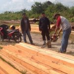 Polres Meranti Temukan Kayu Ilog Saat Selidiki Kasus Kebakaran Hutan