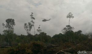 Tim Satgas Udara-Darat Padamkan Kebakaran Lahan di Pelalawan
