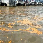 CPO Milik PT Nagamas Palmoil Lestari Tumpah dan Cemari Laut Dumai