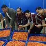 Bareskrim Tetapkan Lagi Satu Tersangka Kasus Permainan Harga Cabai