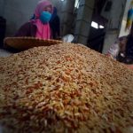 Jangan Salah Memilih dan Mengolah Beras