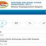 Persoalan NIK Pelamar CPNS, Pemerintah Jamin Segera Teratasi