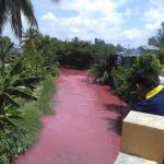 Ternyata Ini Penyebab Air Sungai Bah Bolon di Siantar Jadi Merah