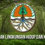 RAPP Dilarang Lakukan Penanaman Kembali di Riau, Ada Apa Ya?