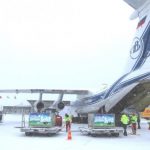DHL Transports Panda Couple From China to Finland