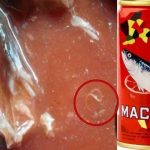 Lima Fakta Menarik Dibalik Temuan Parasit Cacing di Ikan Makarel Kaleng