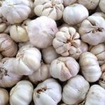Harga Melonjak Rp 60 Ribu, Waspada Hama Perusak Tanaman Pada Bawang Putih Impor