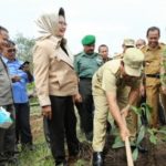 Investor Bakal Bangun Pabrik Semen di Rohul