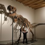 Imagination, education and unforgettable world’s first encounter with a T. rex