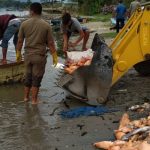 Jutaan Ekor Ikan dari Ratusan Keramba di Danau Toba Tiba-tiba Mati