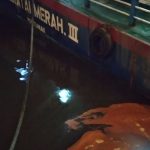 CPO Kembali Tumpah ke Laut Dumai