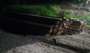 Diduga Illegal Loging Masih Marak, Ini Kata Kapolres Dumai