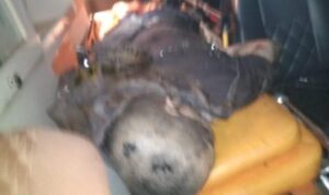 Dua Pekerja Tewas Dalam Insiden Kebakaran Pabrik PT Sari Dumai Oleo