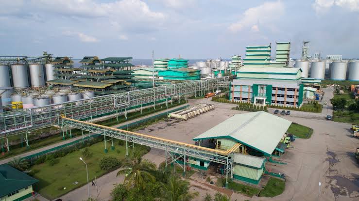 Apical Terus Kembangkan Bisnis Hilirisasi