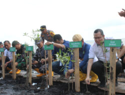 Apical Group Tanam 2000 Batang Mangrove di Pesisir Pantai Dumai