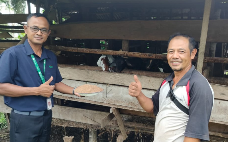 Apical Dorong Pengembangan Budidaya Kambing di Dumai