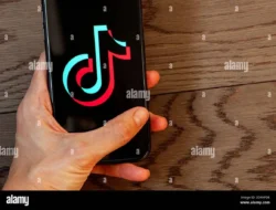Cara Cepat Download Video TikTok Tanpa Watermark Pakai SnapTik Gratis