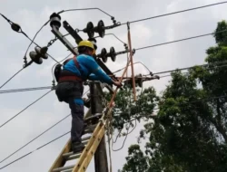 Jadwal Mati Listrik, PLN Lakukan Pemeliharaan Jaringan di Yogyakarta Kota