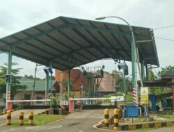 Krisis Industri Sawit: PT Agrindo Indah Persada Tutup dan Picu PHK Massal